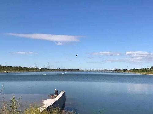 呼市头条大黑河,探寻城市绿肺的生态魅力