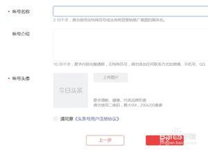 头条是用什么注册的网站,头条网站注册背后的注册方式大揭秘